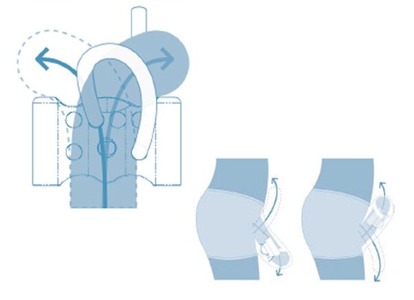 Aparato reprodutor do adolescente