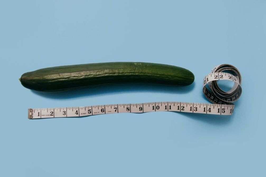 Medición do tamaño do pene co exemplo de pepino